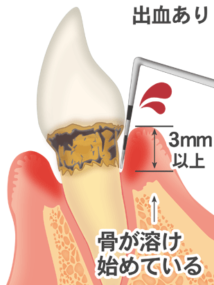 矯正歯科